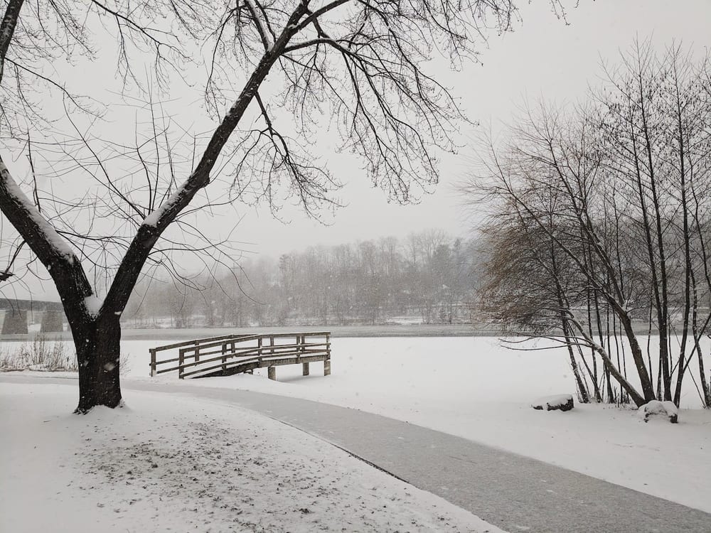 Argo Nature Area, photo 2