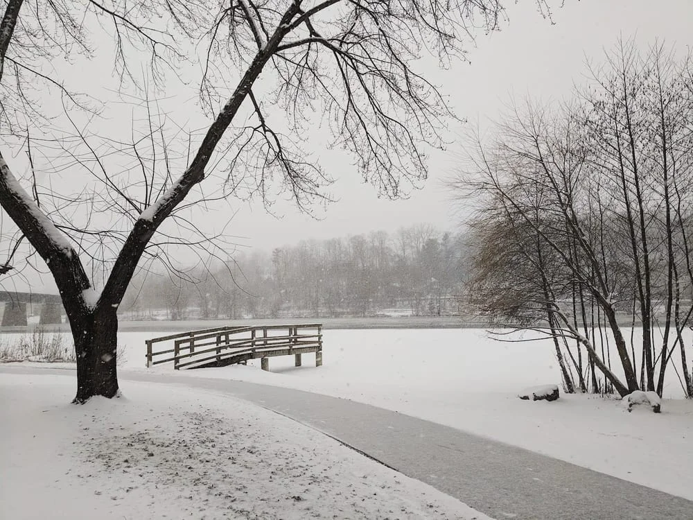 Argo Nature Area, photo 2