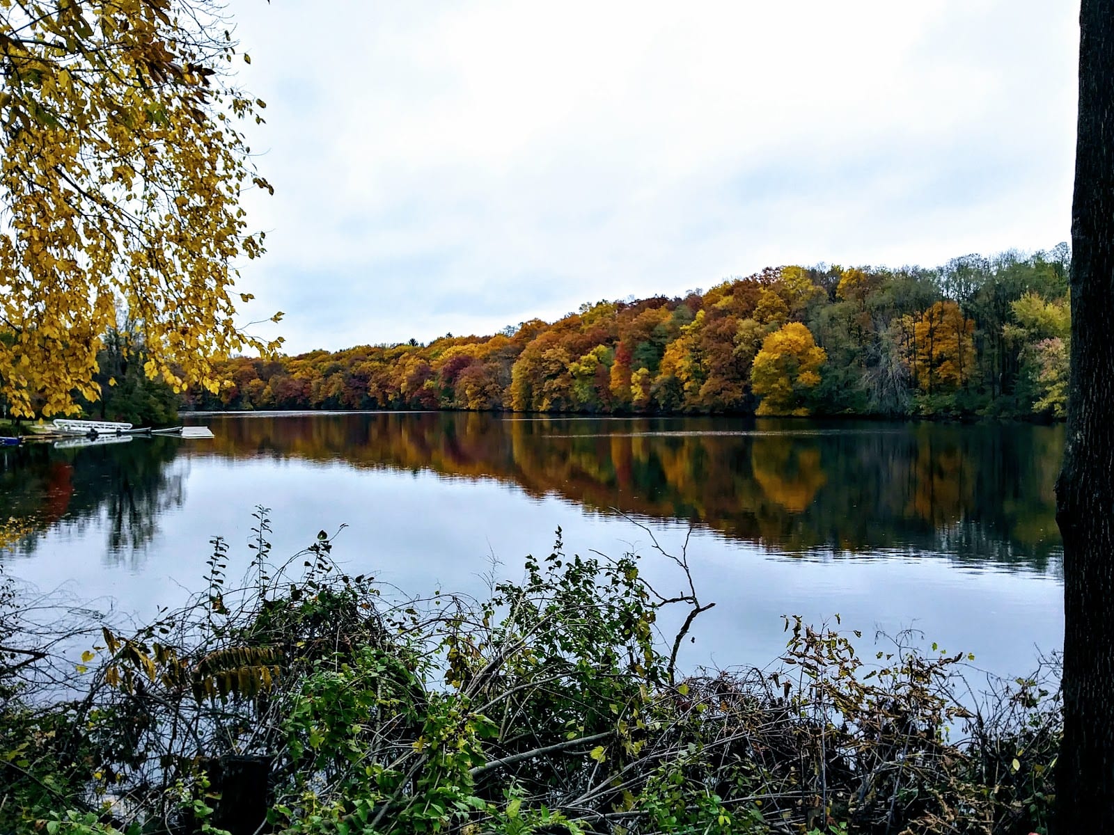 Bandemer Nature Area