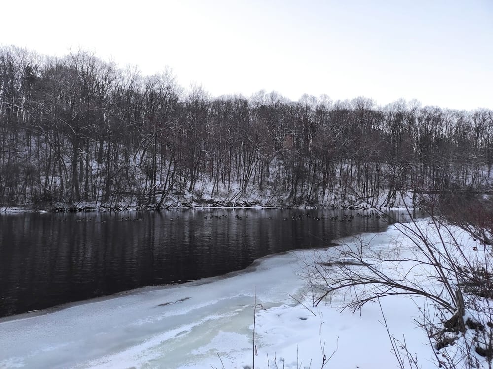 Barton Nature Area, photo 2