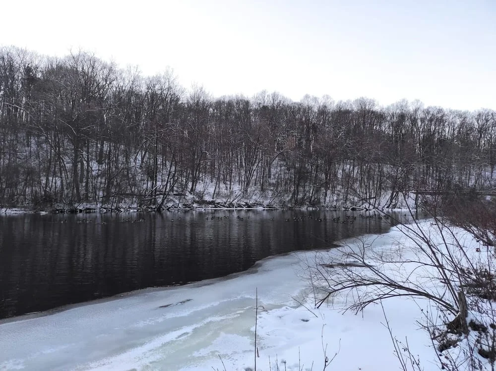Barton Nature Area, photo 2
