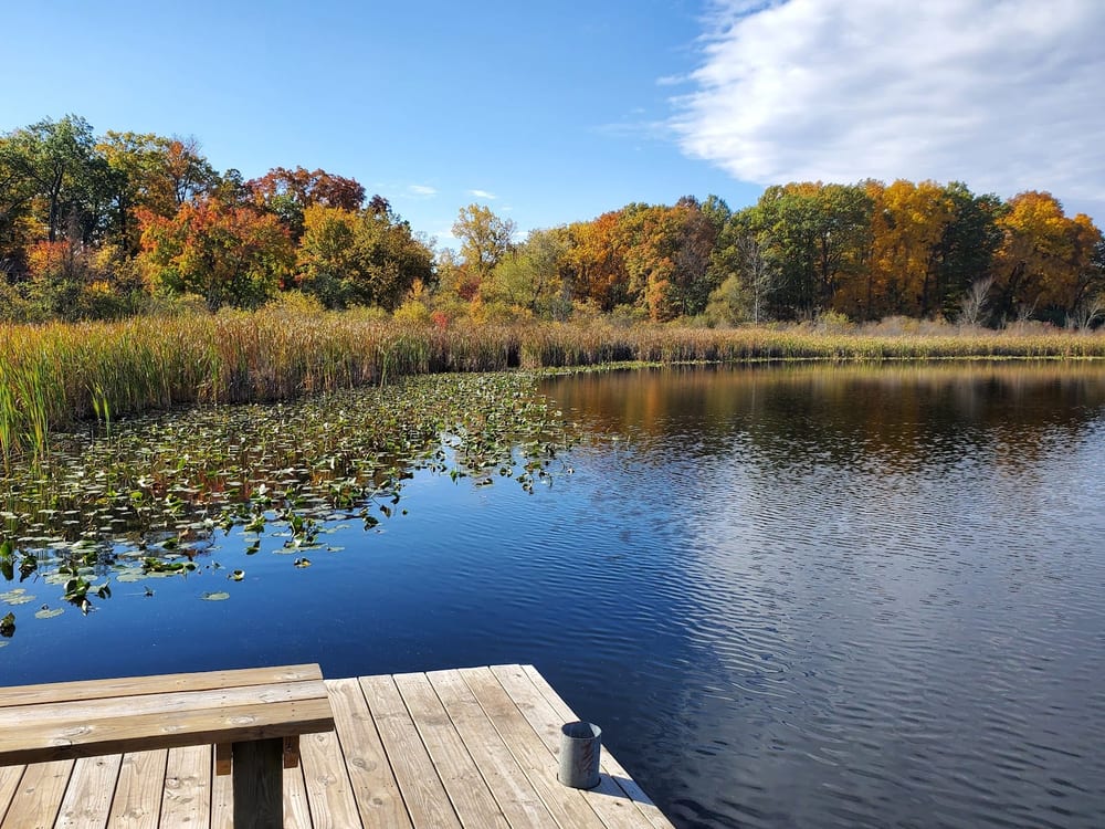 Dolph Nature Area, photo 3