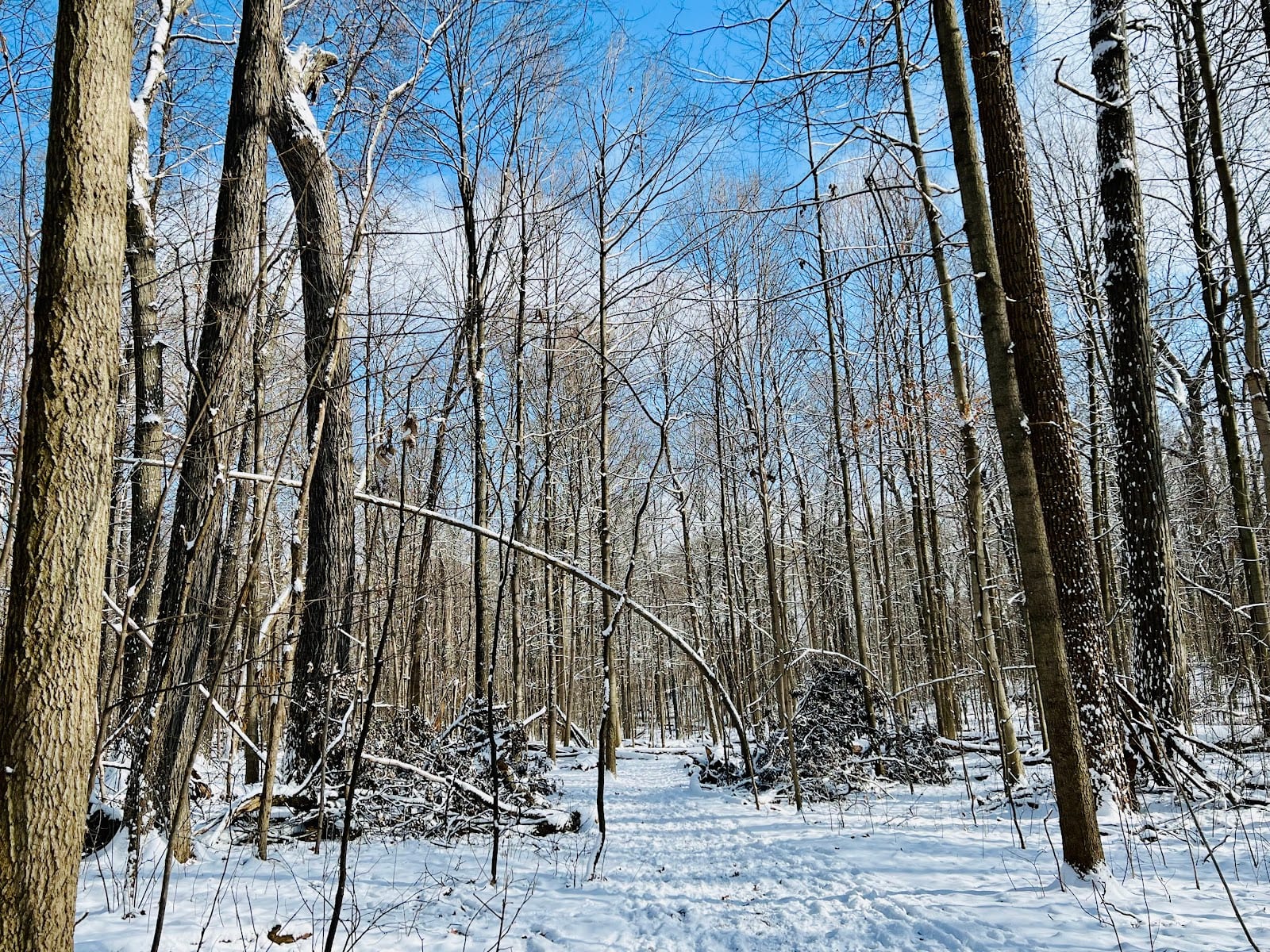 Eberwhite Nature Area