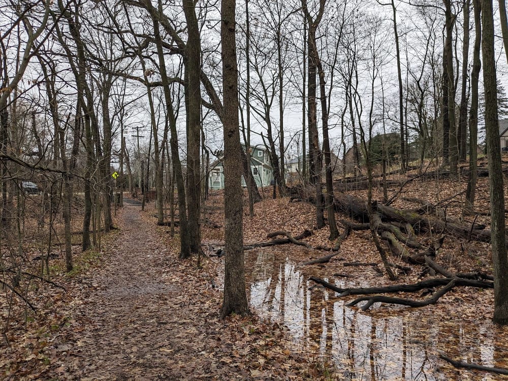 Eberwhite Nature Area, photo 2