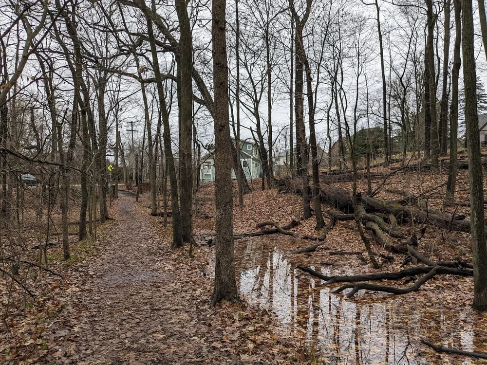Eberwhite Nature Area, photo 2