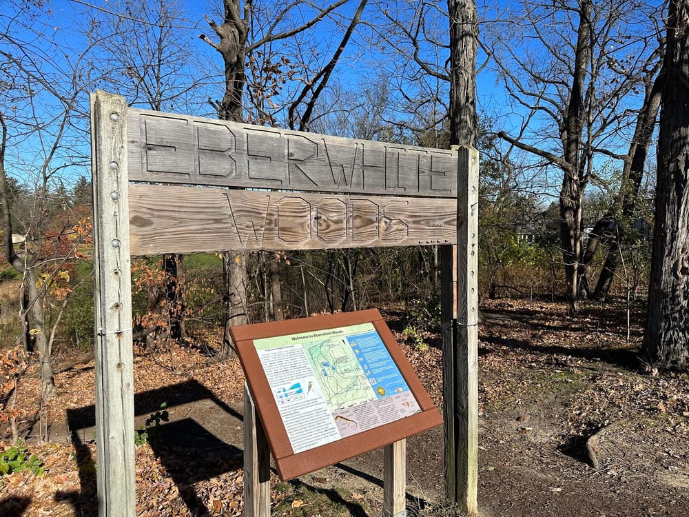 Eberwhite Nature Area, photo 3