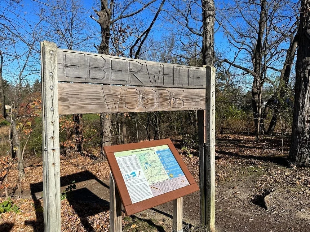 Eberwhite Nature Area, photo 3
