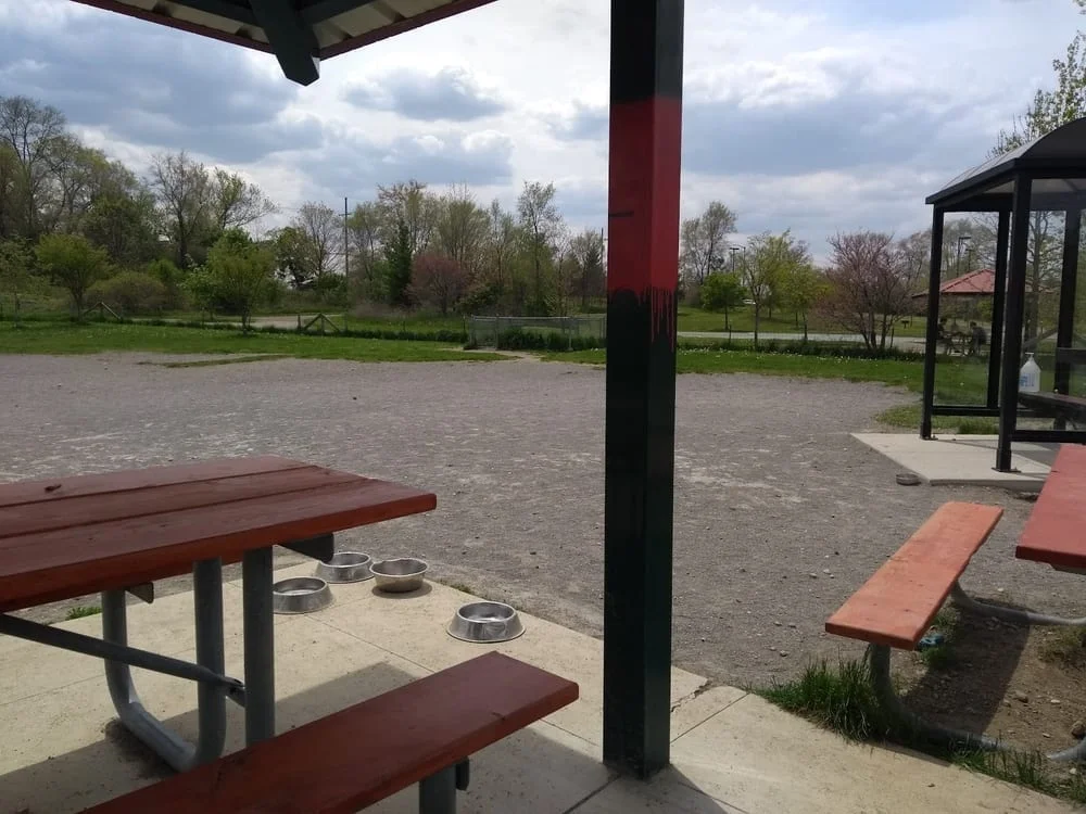 Olson Dog Park, photo 3