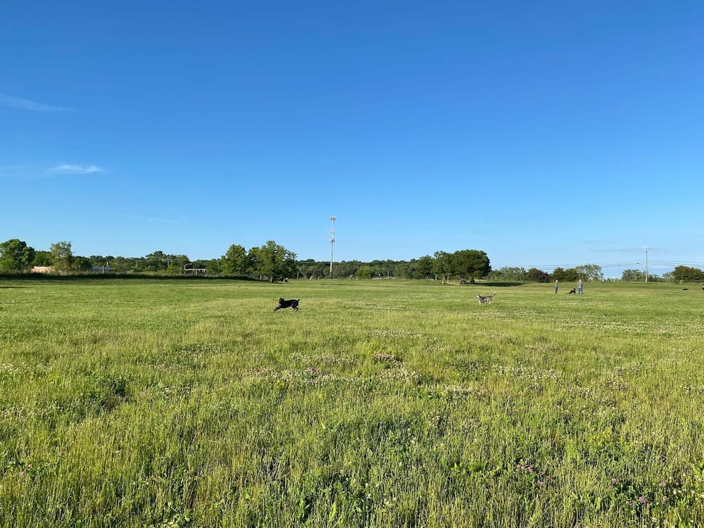 Swift Run Dog Park, photo 2