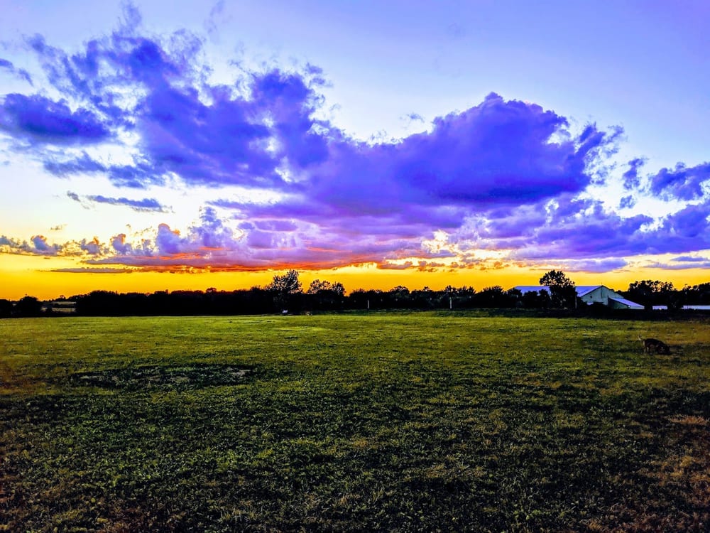 Swift Run Dog Park, photo 3