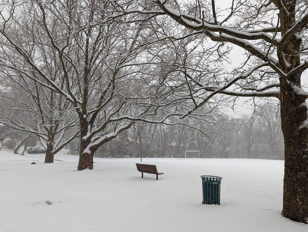 Virginia Park, photo 2