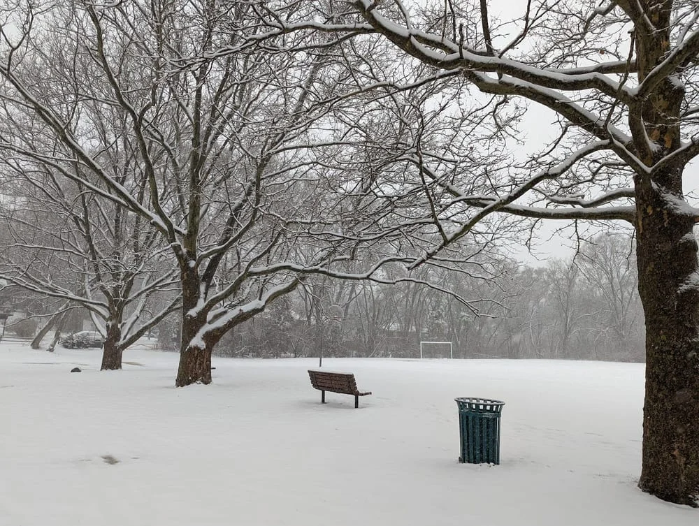 Virginia Park, photo 2
