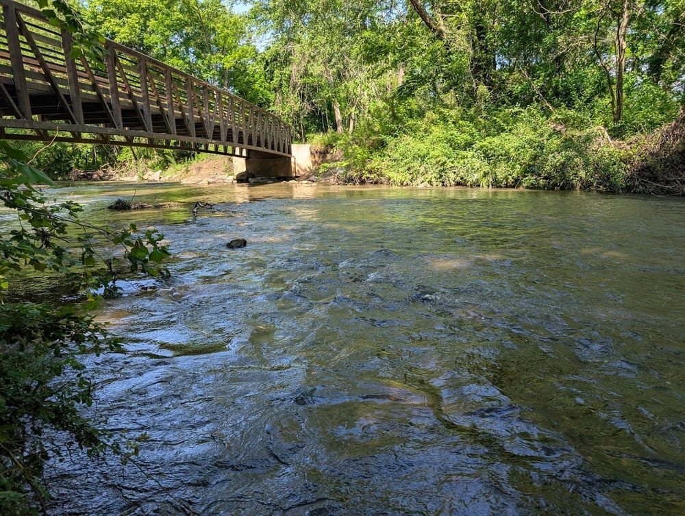 Bill Moore Community Park, photo 2