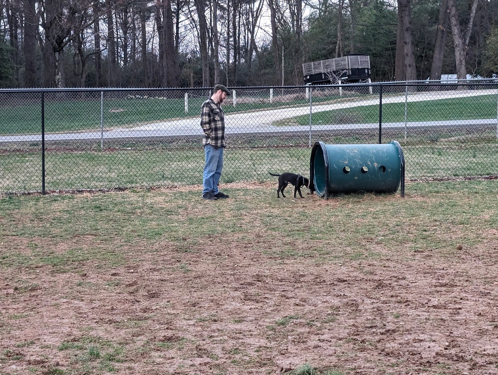 Buncombe County Dog Park