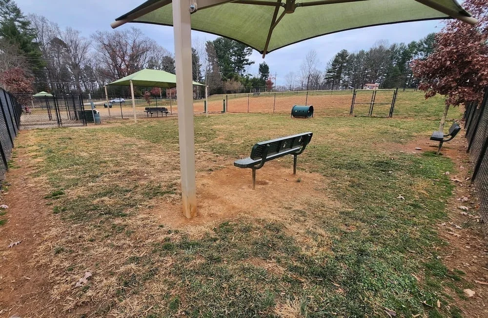 Buncombe County Dog Park, photo 3