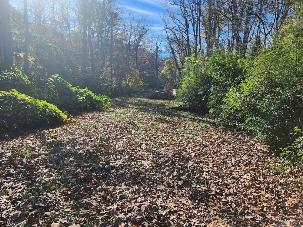 Caledonia Park, photo 3