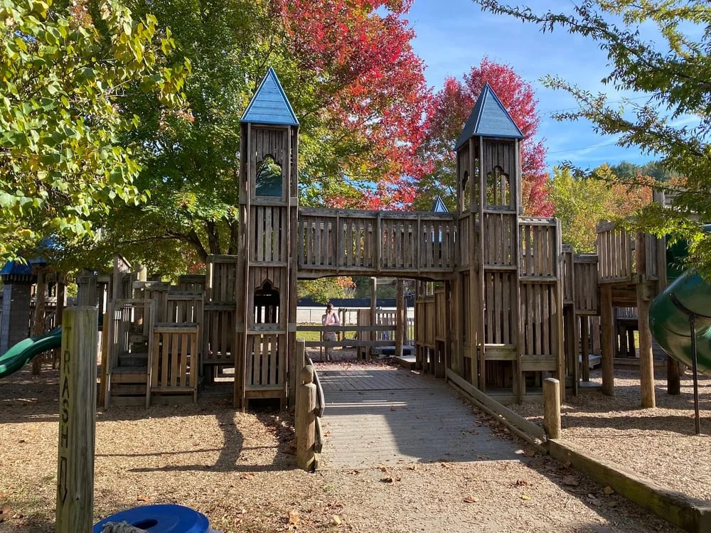 Carrier Park, photo 3