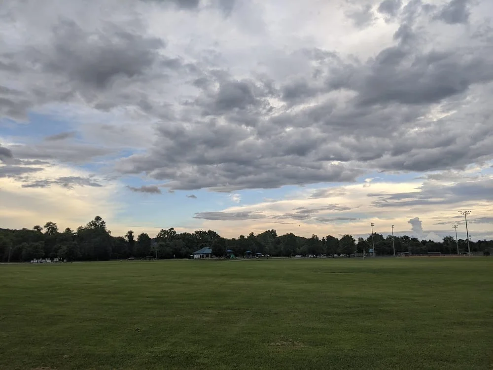 Fletcher Parks & Recreation Dog Park, photo 2