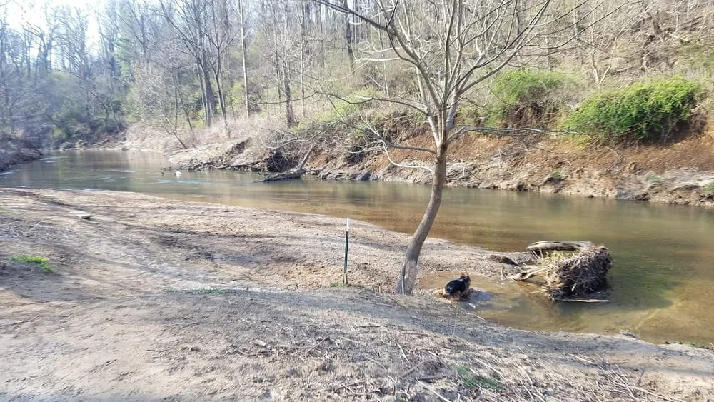 Hominy Creek Greenway, photo 3