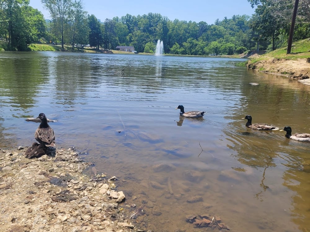 Lake Louise Park, photo 2