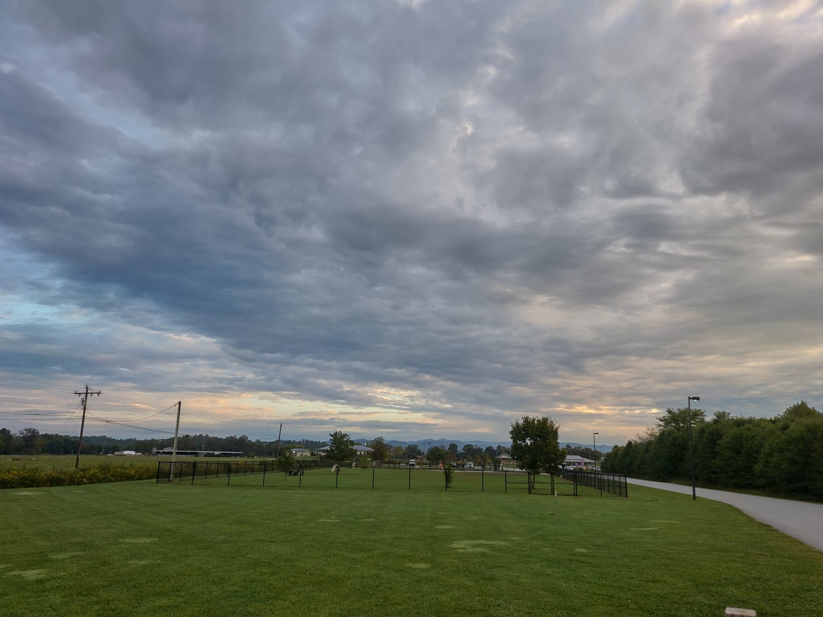 Dog park in Asheville