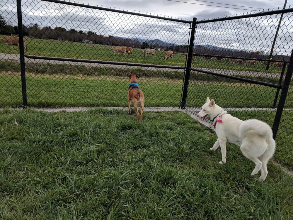 Mills River Park, photo 3