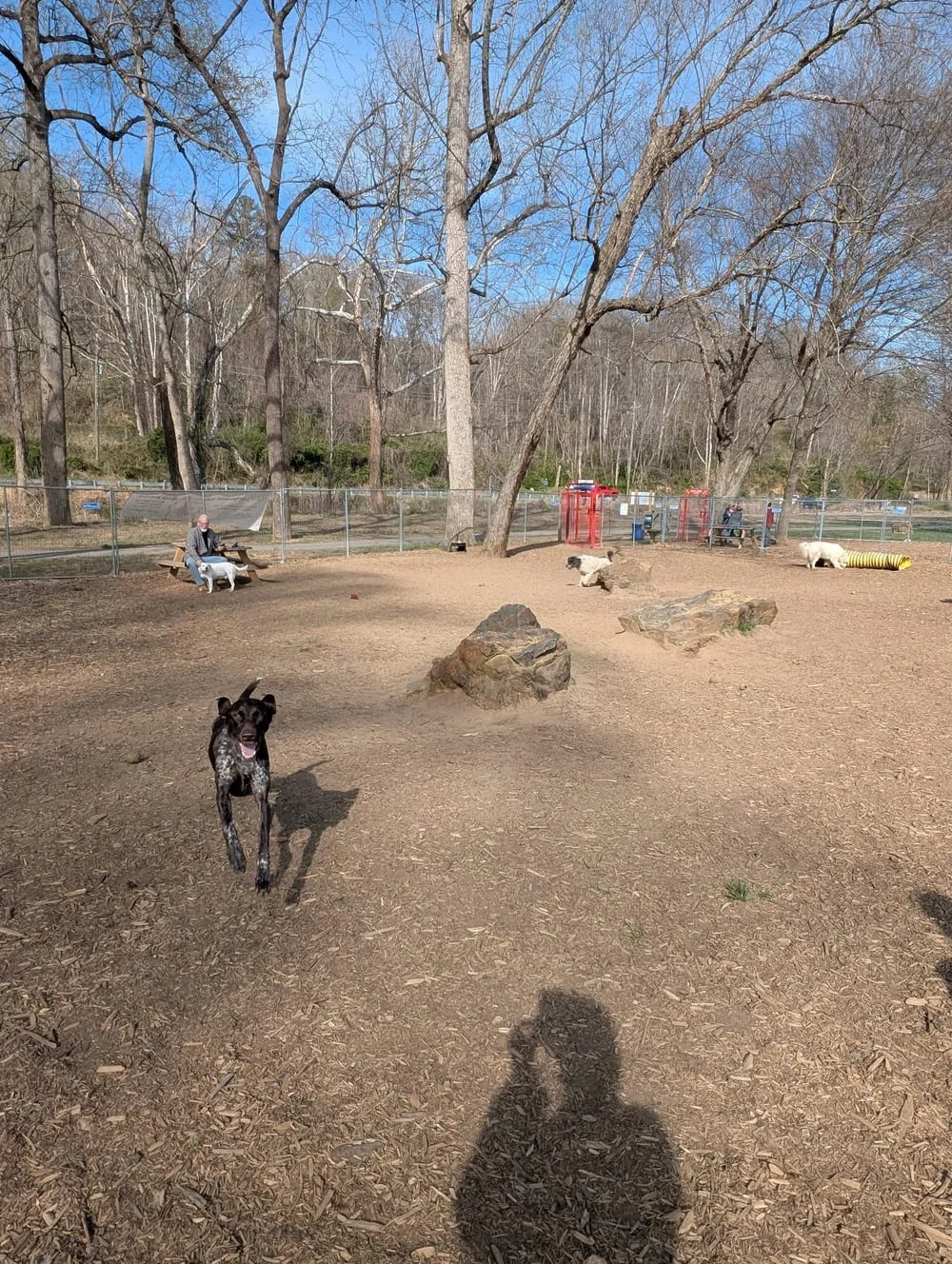 Riverbend Park, photo 3