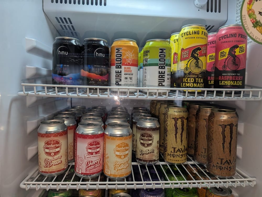 WagWorld Pub & Off Leash Resort, photo 3