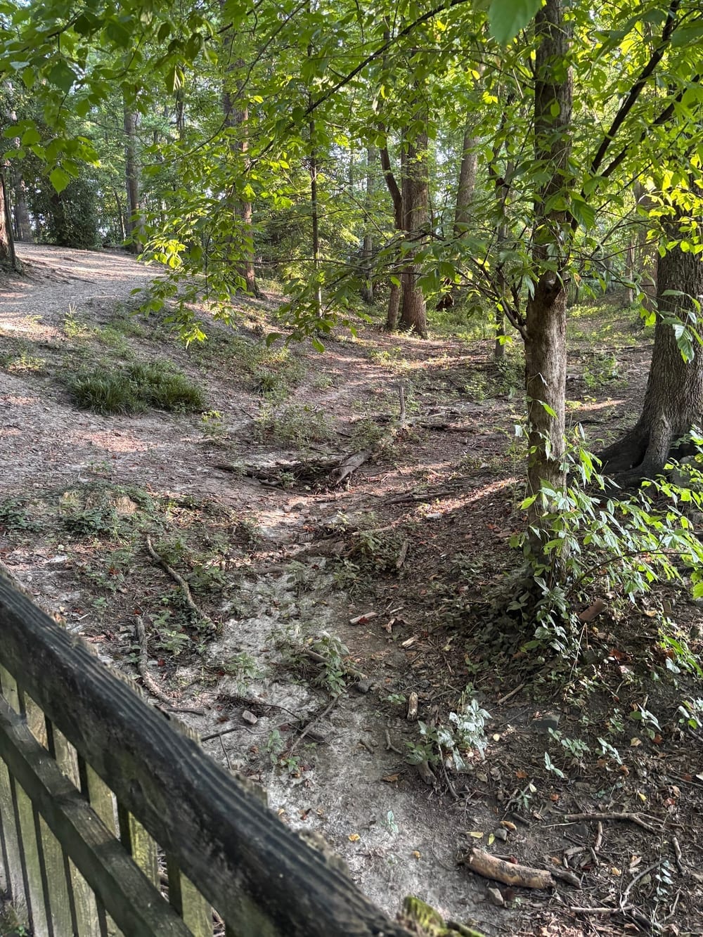 Brookhaven Dog Park, photo 3