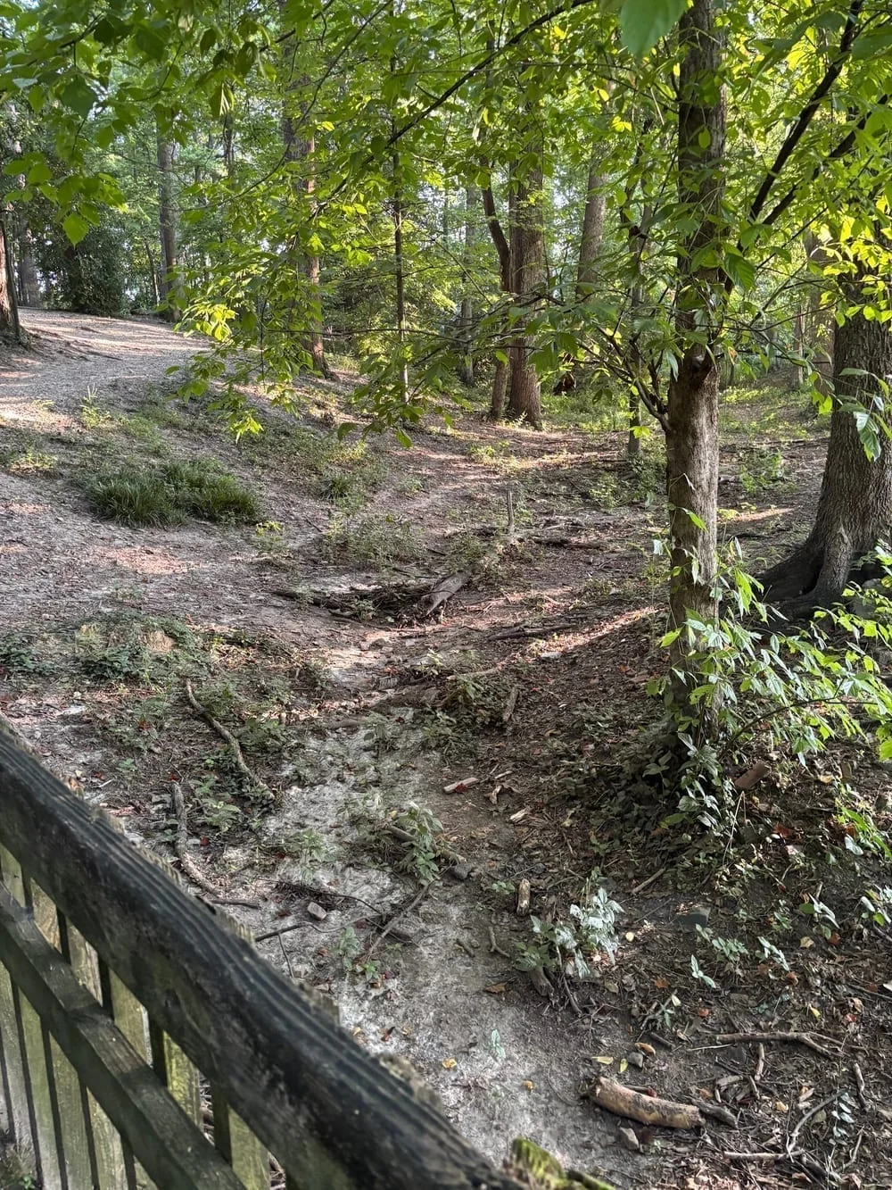 Brookhaven Dog Park, photo 3