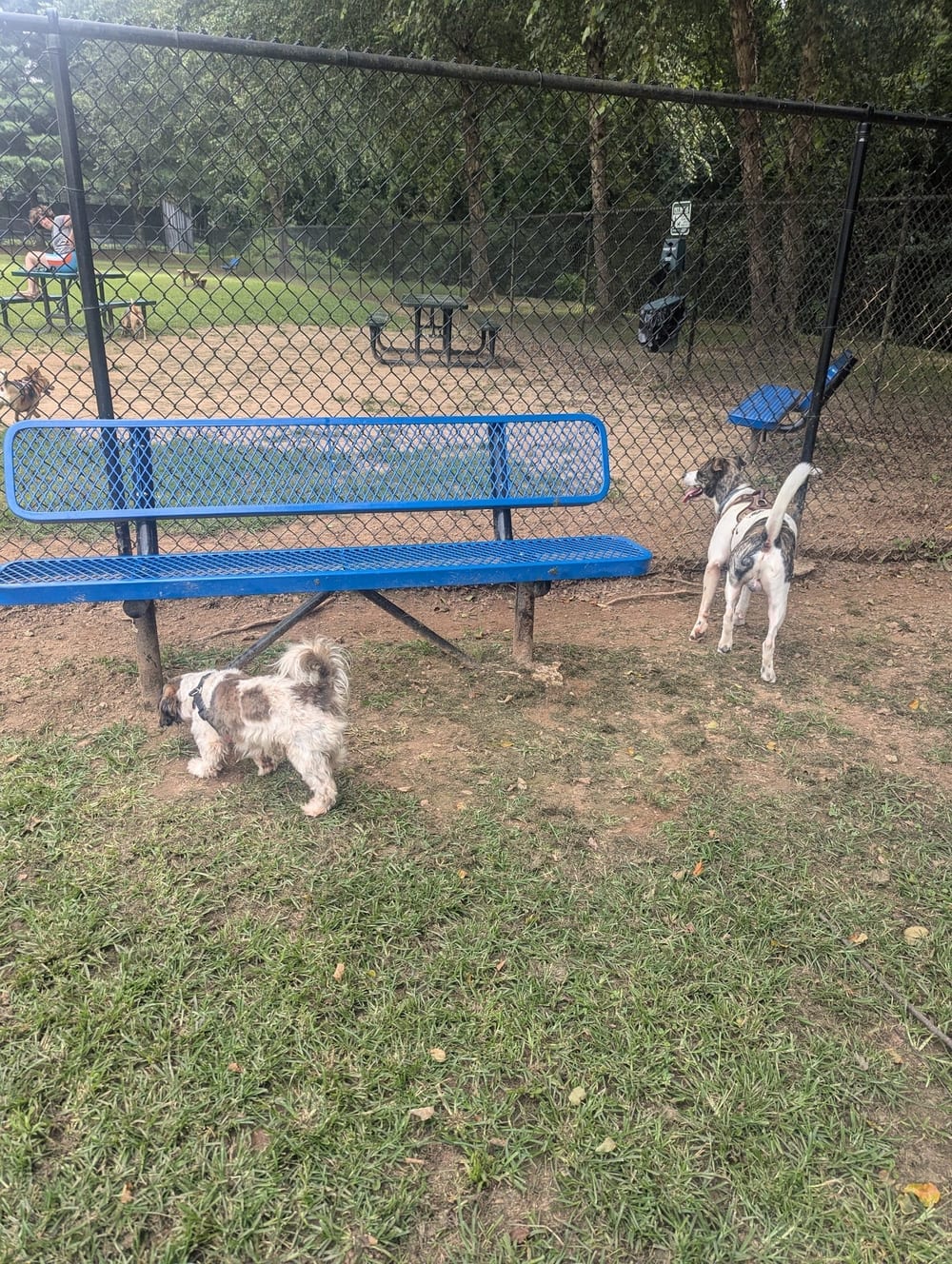 East Point Dog Park, photo 2