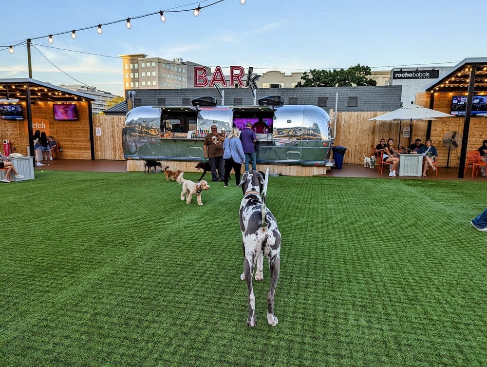 Fetch Park Buckhead, photo 3