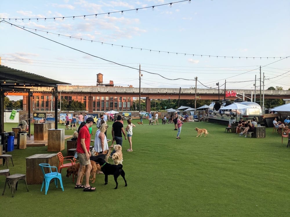 Fetch Park O4W, photo 2