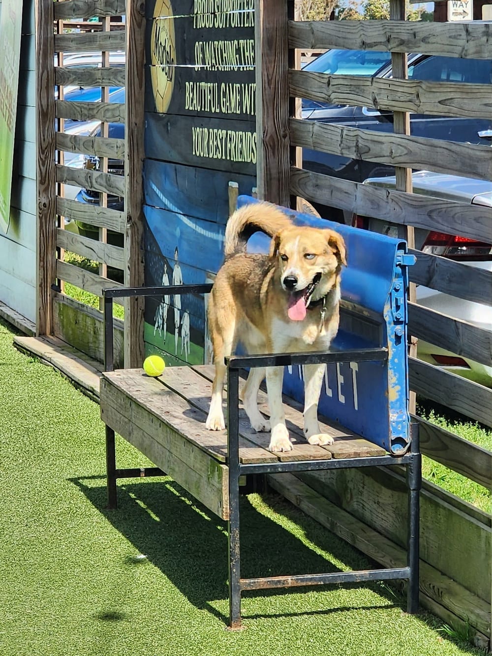 Fetch Park O4W, photo 3