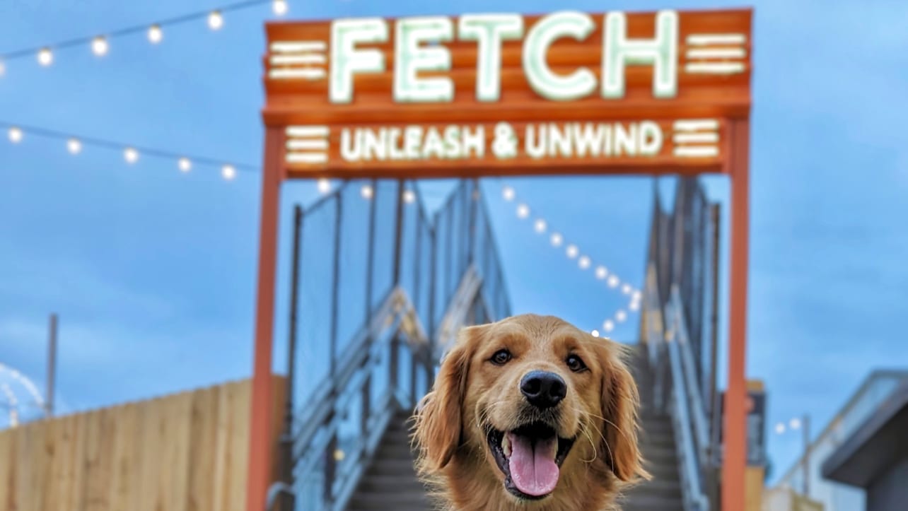 Fetch Park @ The Works