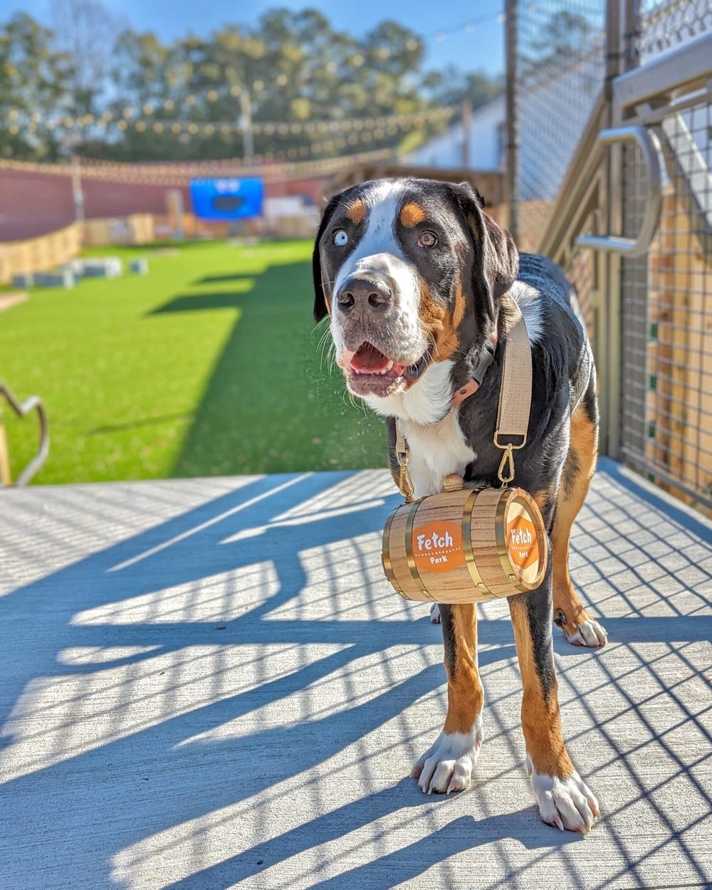 Fetch Park @ The Works, photo 2