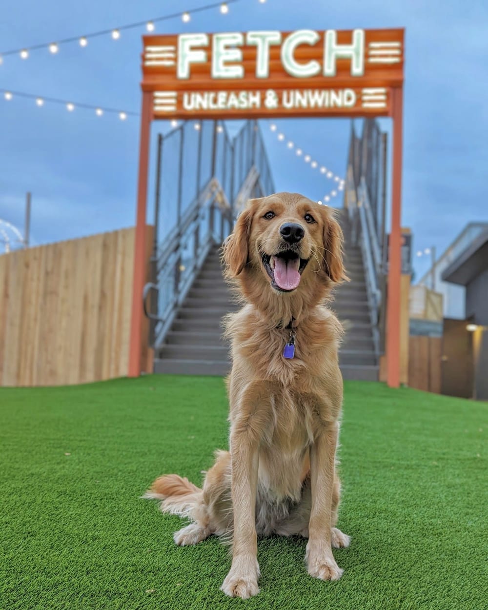 Fetch Park @ The Works, photo 3