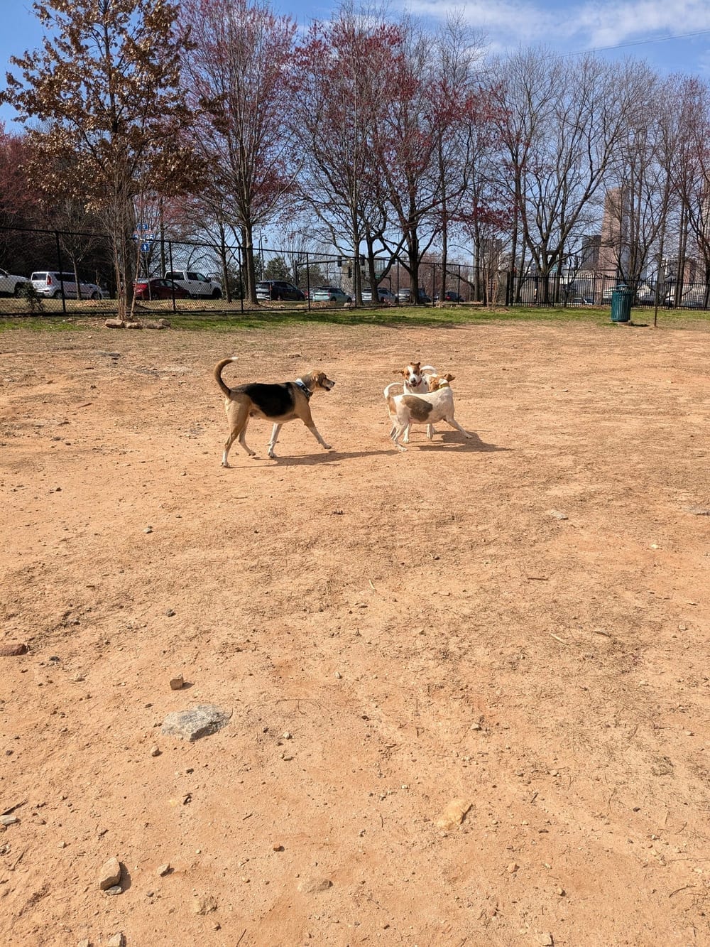 Freedom Barkway Dog Park, photo 2