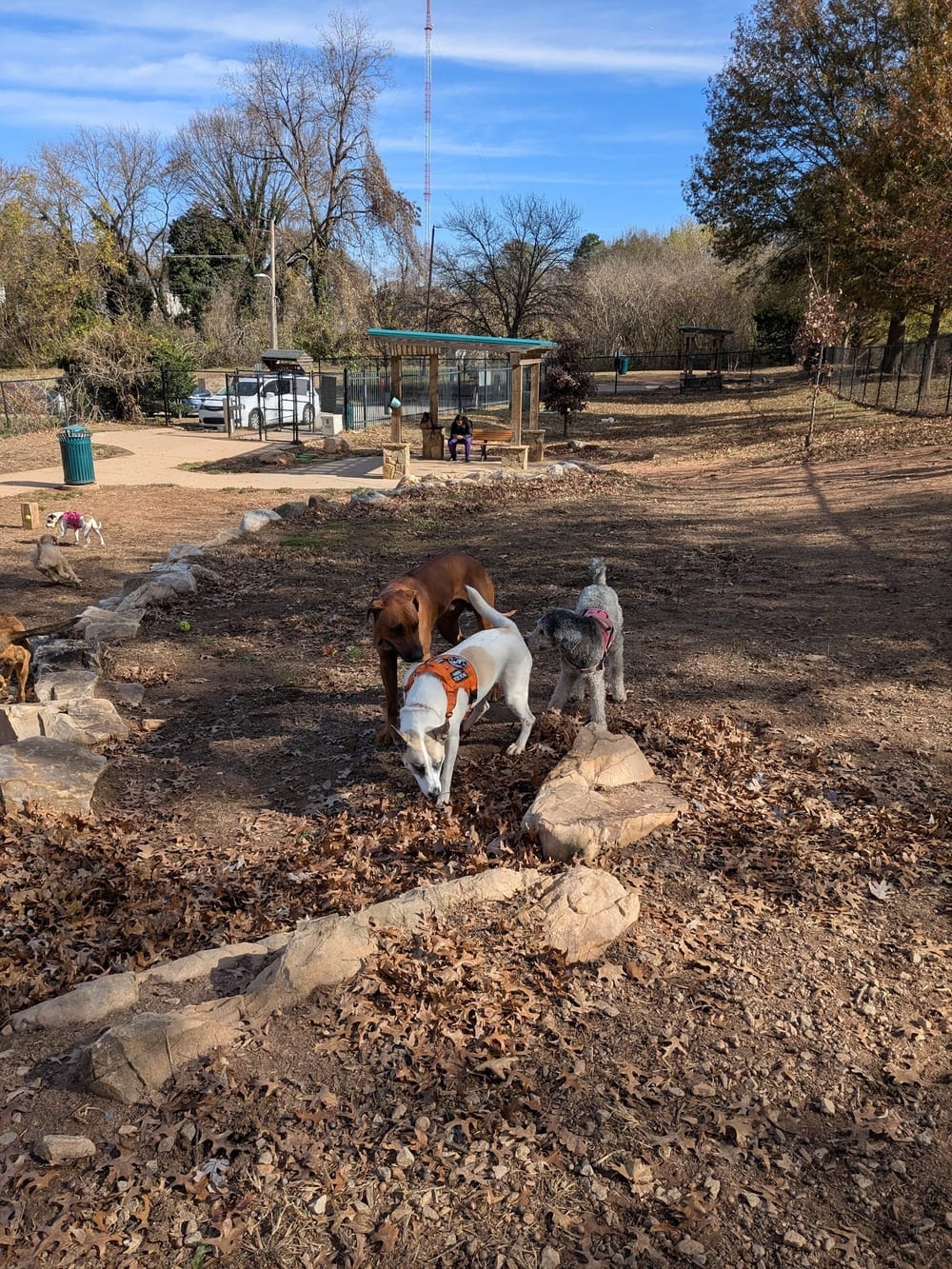 Freedom Barkway Dog Park, photo 3