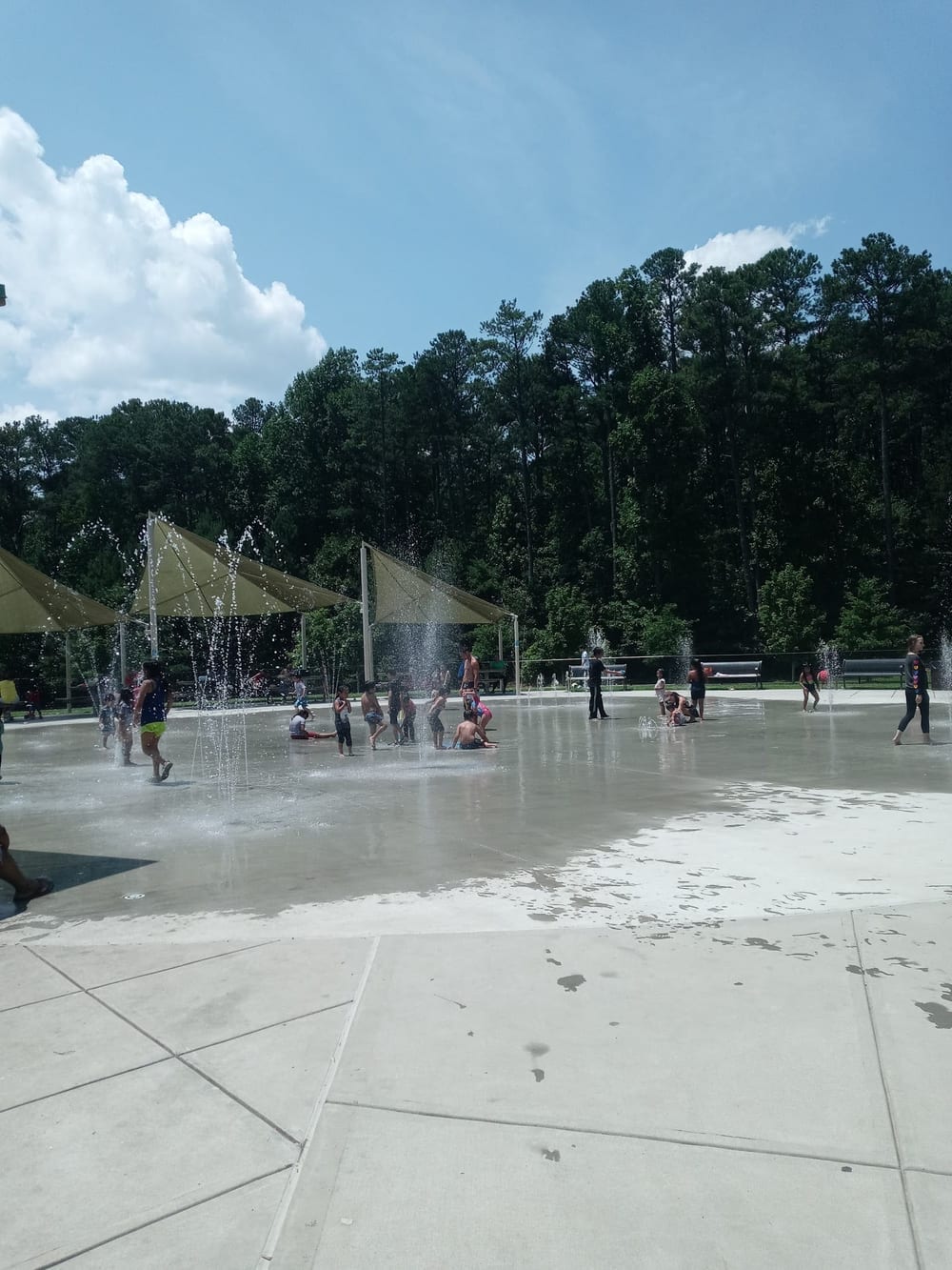 Graves Dog Park, photo 2