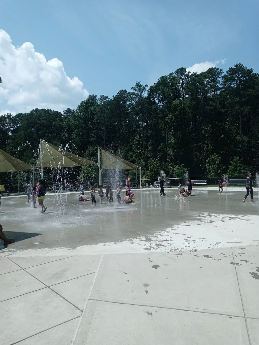 Graves Dog Park, photo 2