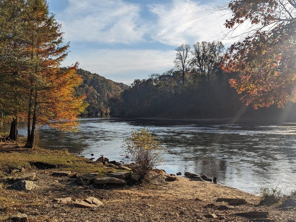 Morgan Falls River Park / Dog Park, photo 3