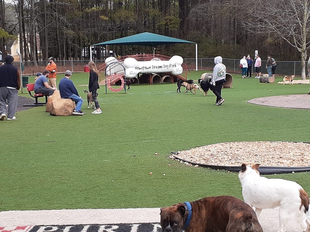 Newtown Dream Dog Park, photo 2