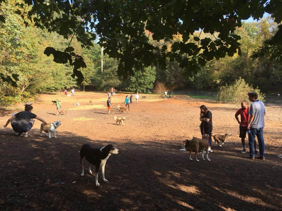 Oakhurst Dog Park