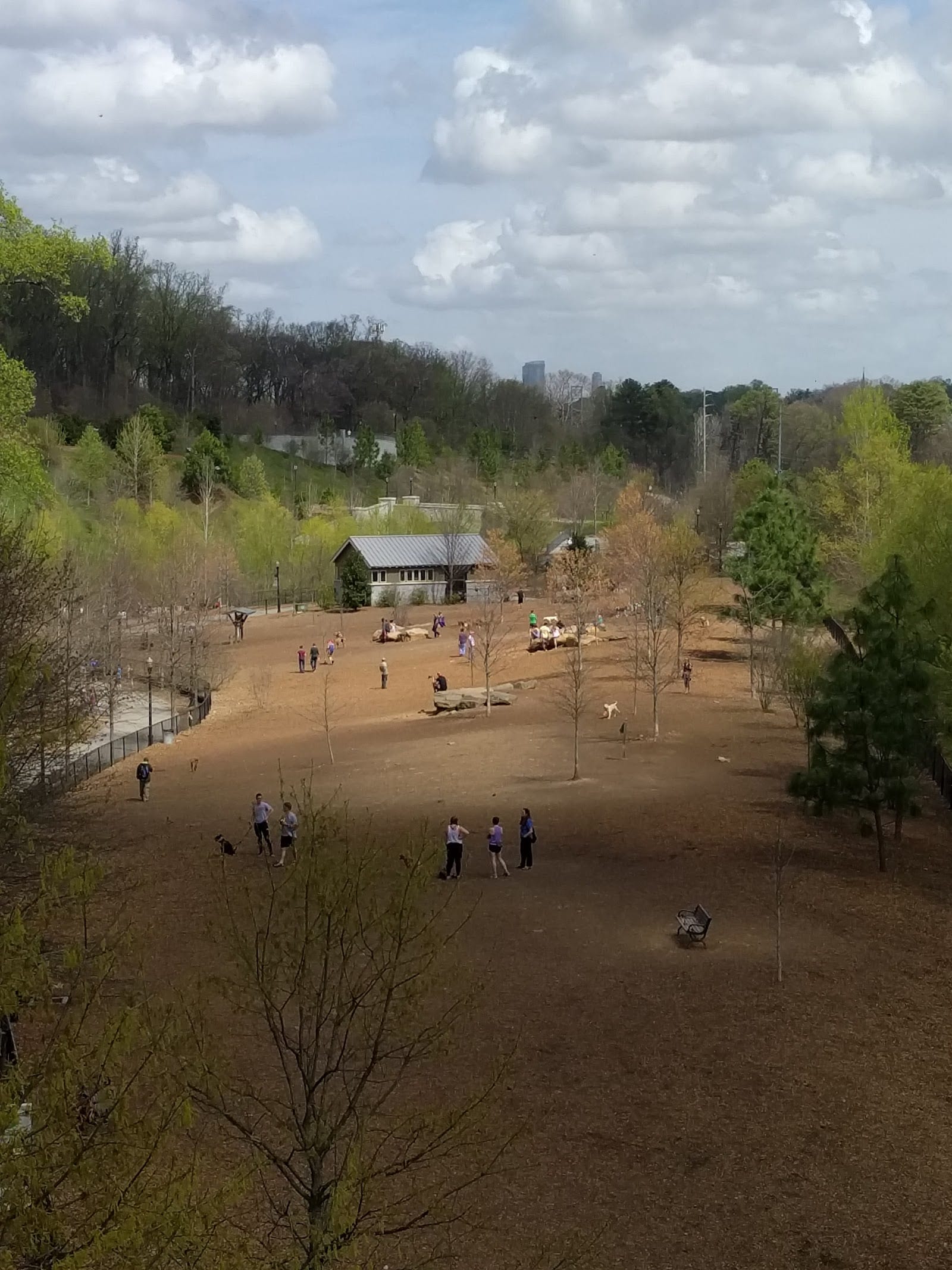 Dog park in Atlanta