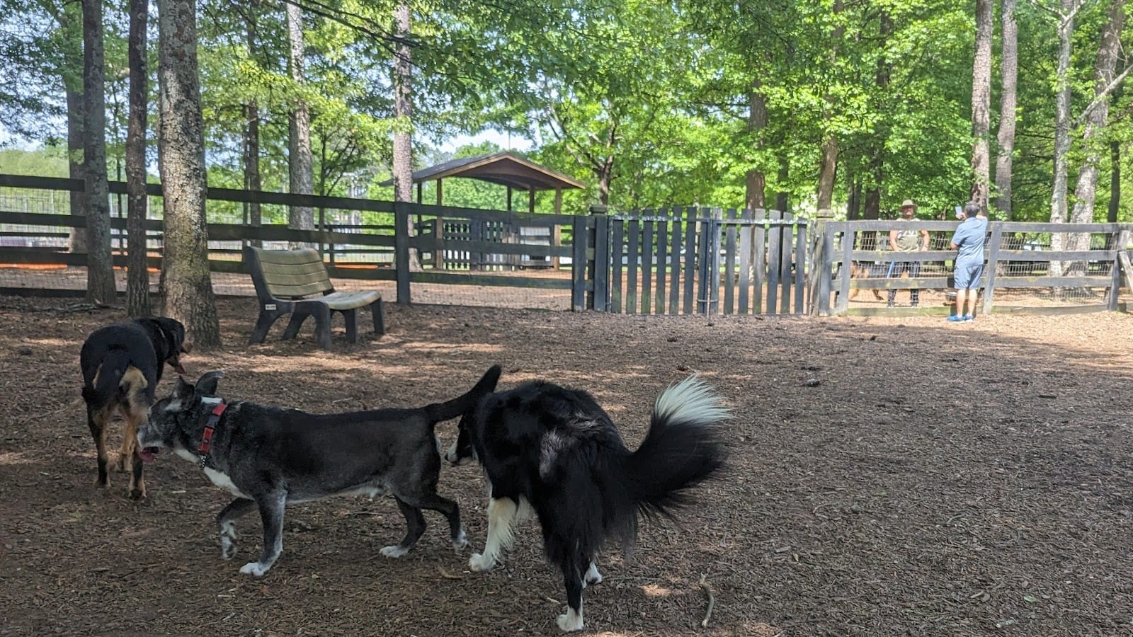 Waggy World Paw Park