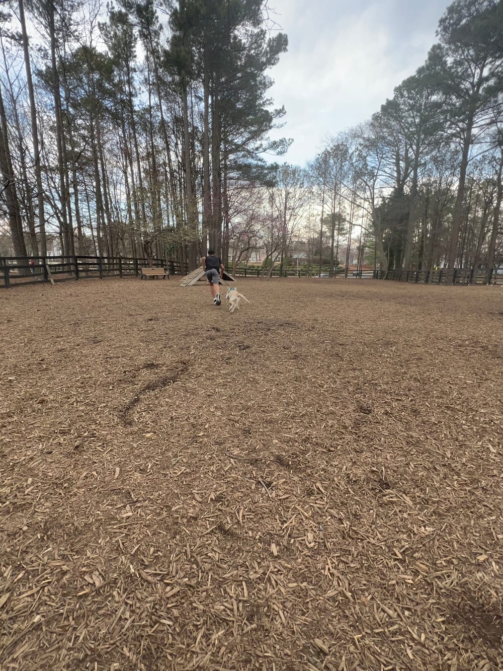 Waggy World Paw Park, photo 3