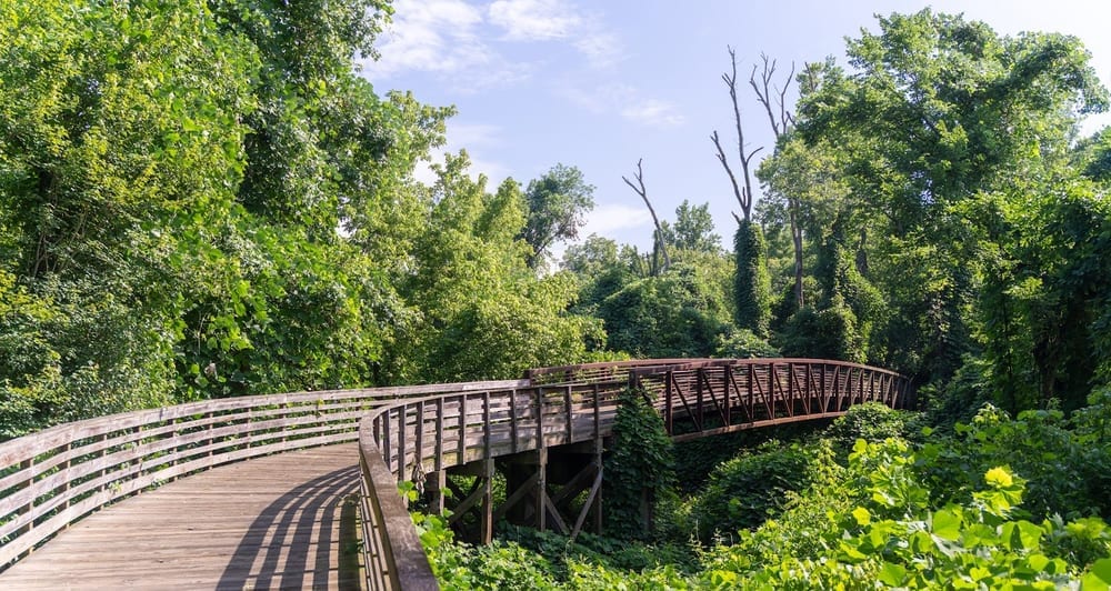 Woodstock Dog Park, photo 2
