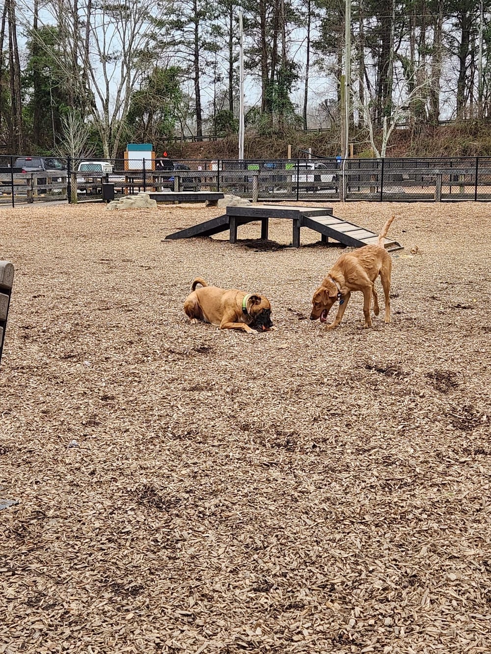 Woodstock Dog Park, photo 3