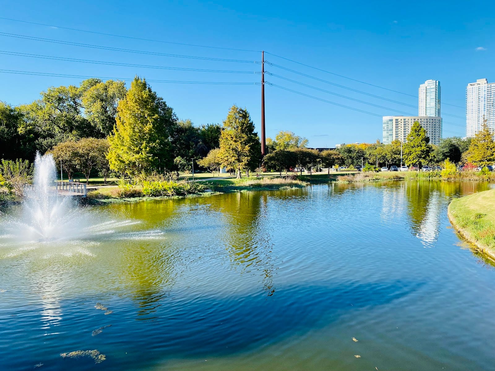 Auditorium Shores Dog Park